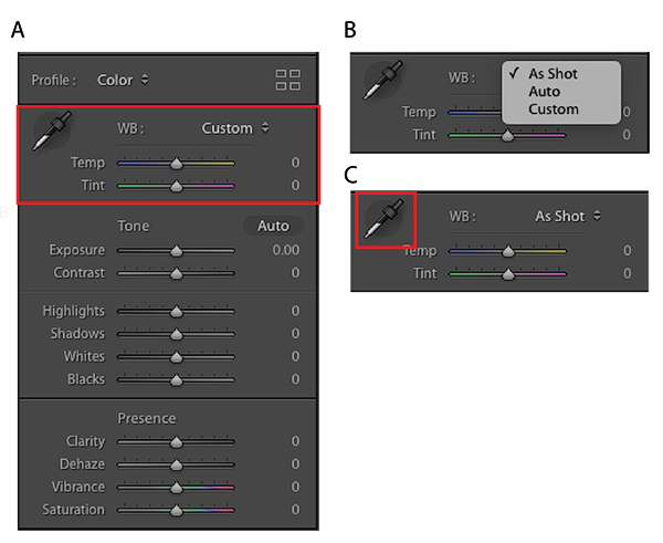 corso base di fotografia online gratis